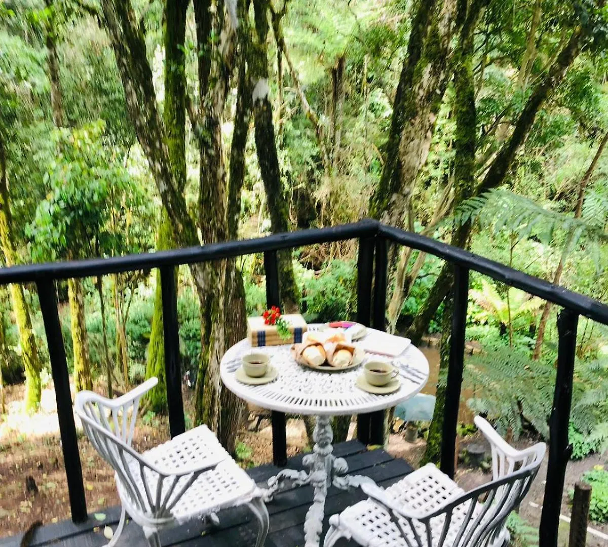 Chalet Little Cabana Com Hidromassagem Campos do Jordao