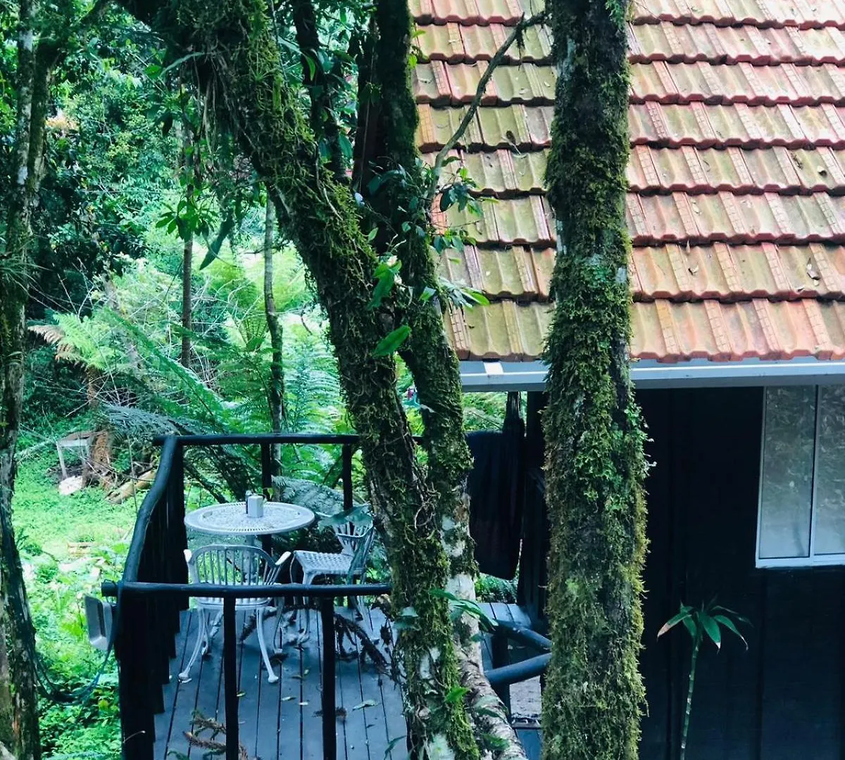 Little Cabana Com Hidromassagem Campos do Jordao 0*,